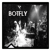 BotFly